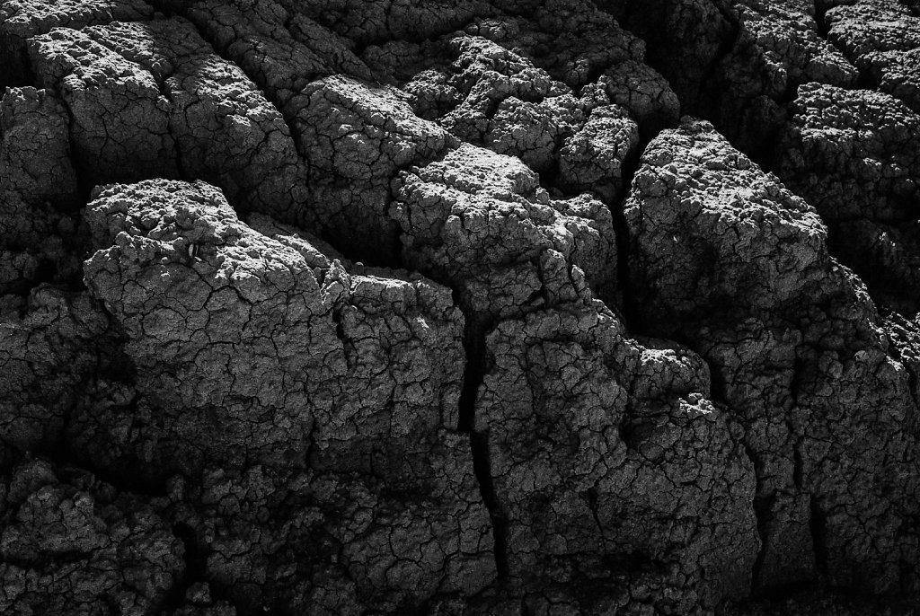 Nr. Lyngby - details in the cracked clay