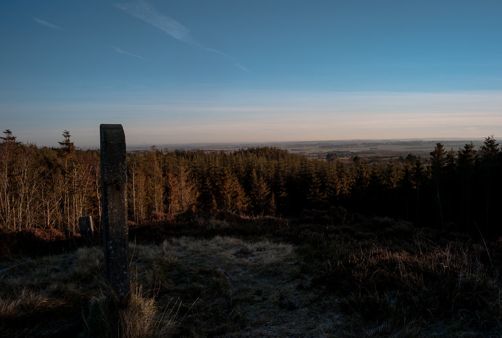 20171217-L1003086.jpg